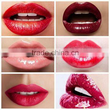 Private Label 25 Shades Waterproof Cream Lipgloss With Factory Price Quality Choice photo-2