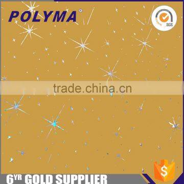 Metallized Polyester Film/Metallized Pet Film Supplier