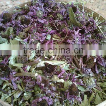 Echinacea Purpurea Whole Plant, Turkish Medicinal Herb Dried, artichoke for tea