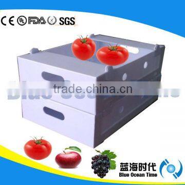 corrugated plastic corflute boxes for tomato apple grape