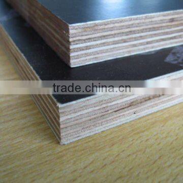 poplar/hardwood/combi film faced plywood