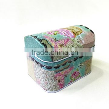 Special shaped mint tin can, small mint tin can