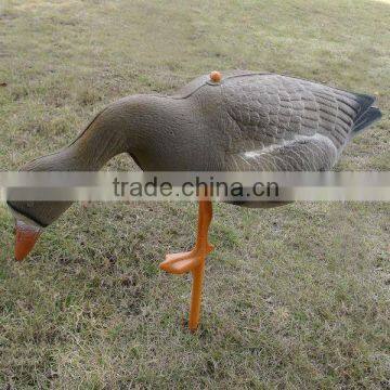 Supply XPE material goose decoys/specklebelly goose decoy