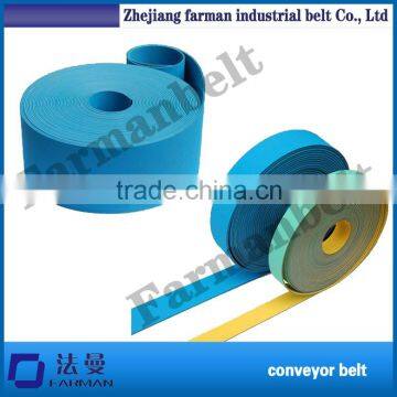 China Polyester Endless Flat Belt Lifting Sling/belt