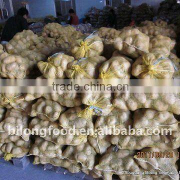 Whole Sale Big Quantity Fresh Yellow Potato (chinese)