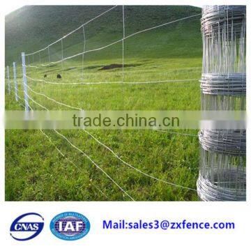 Factory direct cheap heavy duty sheep fence,horse fence,cattle fence