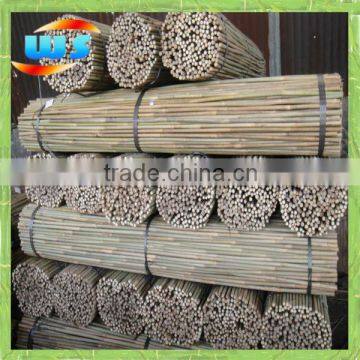 Bamboo flower stick for support plant 152cm X 12/14mm