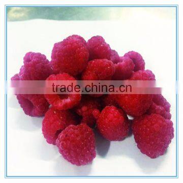 Fresh Organic frozen raspberry from China