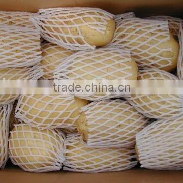 Fresh Chinese potato packing in box and carton