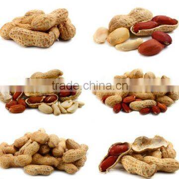 2012 Round Peanut in Different Package