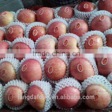 Yantai Fresh Apple/china Fresh Apple
