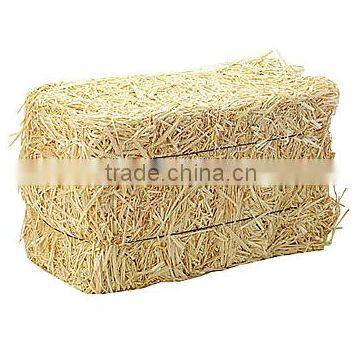 wheat hay, straw hay, animal filler hay, straw hay bale, wheat straw bale, wheat hay