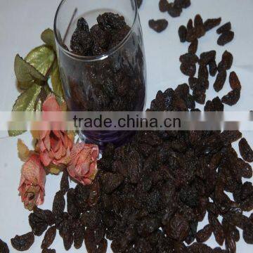 Xinjiang Raisins Dark Raisins Sultana Raisin