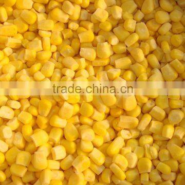 2015 fresh crop canned sweet corn