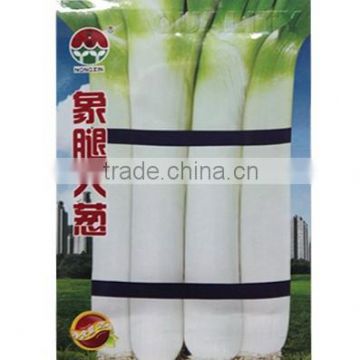 High Yield High Disease Resistance Shallot Scallion Allium fistulosum Green Chinese Onion Seeds For Growing-New Jin NO.4