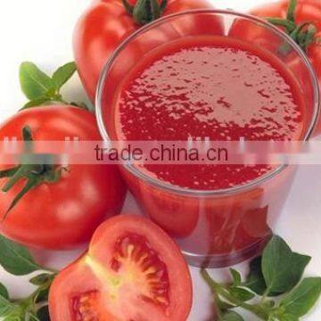 health food canned tomato paste