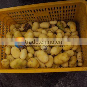 Automatic Fish Scale Peeling Machine photo-5