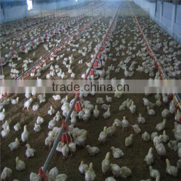 poultry broiler farming equipment in india