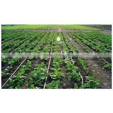 PE agricultural drip irrigation tape with flat drippers