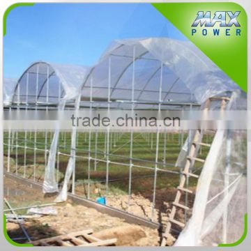 New Arrival plastic film greenhouse agriculture