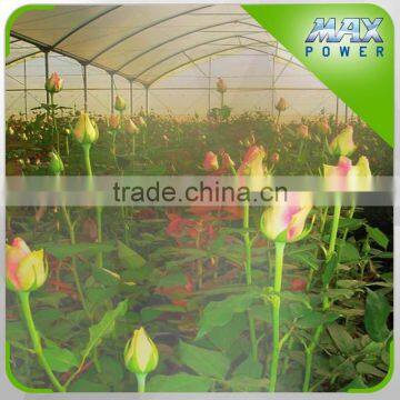 Irrigation System for Outdoor Flower Garden photo-5