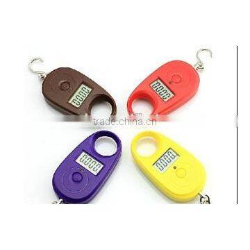 Fish electronic scales