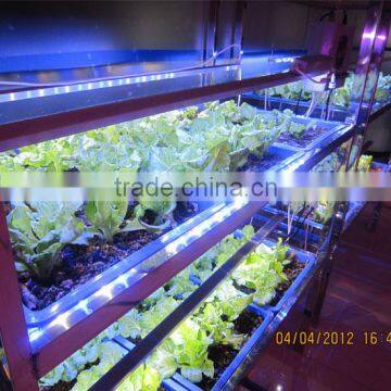 Wholesale 2016 New Tech DC 12V Waterproof Greenhouse Horticulture Refelctor LED Grow Light Bar 23W 46W 92W