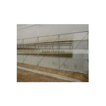 Low Price Tunnel Agriculture Greenhouse for Vegetable photo-3