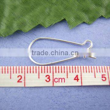 250PCs Silver Plated Ear Wires 11*24mm photo-2
