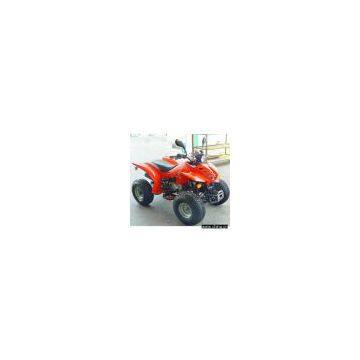 110cc Raptor Style Sports ATV(EEC approved)