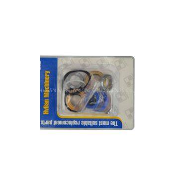 Gasket And Seal
