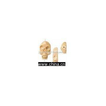 skull head strand