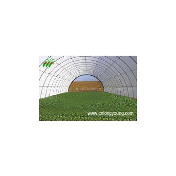 Longyoung Agricultural Technology Co., Ltd,