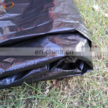 pe silver black mulch film agriculture 1.2M*400M*0.025MM