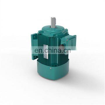 YE2 Series High Performance Electric Motor Industrial 3 Phase Asynchronous Motor 380V/400V/415V Machine Motor photo-4