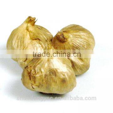 Chinese black garlic 500g Vacuum packing for export