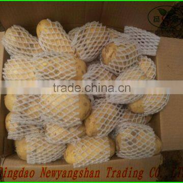 Air Dry Ginger:Give You the Best Price/best Quality photo-4