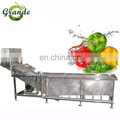 500kg/h Industrial Automatic Fruit Washer Dryer Vegetable Washing Machine Basil Bubble Washing Machine photo-3