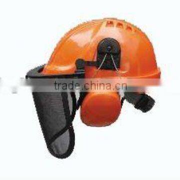 safety helmet with face shield and earmuffs ear muff