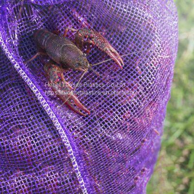 100% Virgin PP Mesh Leno bags with Print Label Vegetable Potato Onion Oysters Garlic