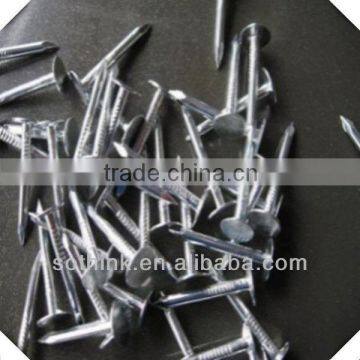 electric galvanized flat head roofing nails