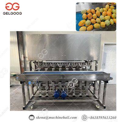 Stainless Steel Mango Peeling Machine with High Capacity mango peeler machine