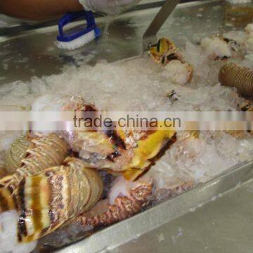Frozen Lobster Tails photo-5