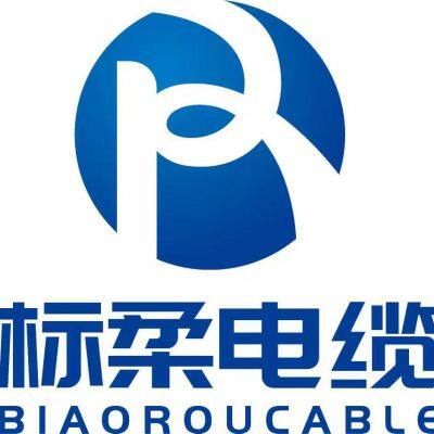 Biaoluo Special Cable (Shanghai) Co., Ltd company overview - view 1