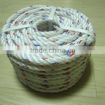 PP DANLINE ROPE