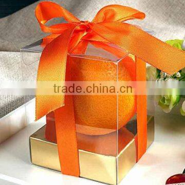 Plastic Box With Hinged Lid