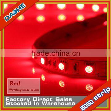 SV Red Led Tape Light SMD 5050 60LED/M No-waterproof IP20 Led Stripe High Quality Wholesale