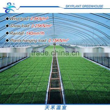 Large 12m Span Film Greenhouse for Agricultural