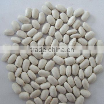 white kidney beans(Japanese type)