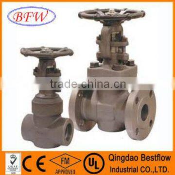 CAST STEEL GATE VALVE API STANDARD